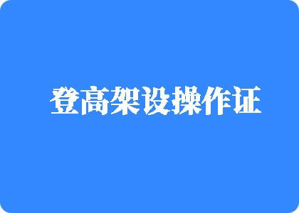 干死日韩B登高架设操作证