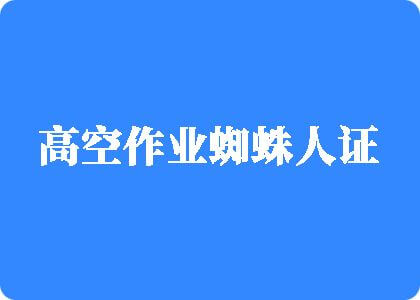 中国少妇喜欢和黑人大鸡八高空作业蜘蛛人证